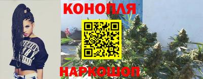 spice Нальчик