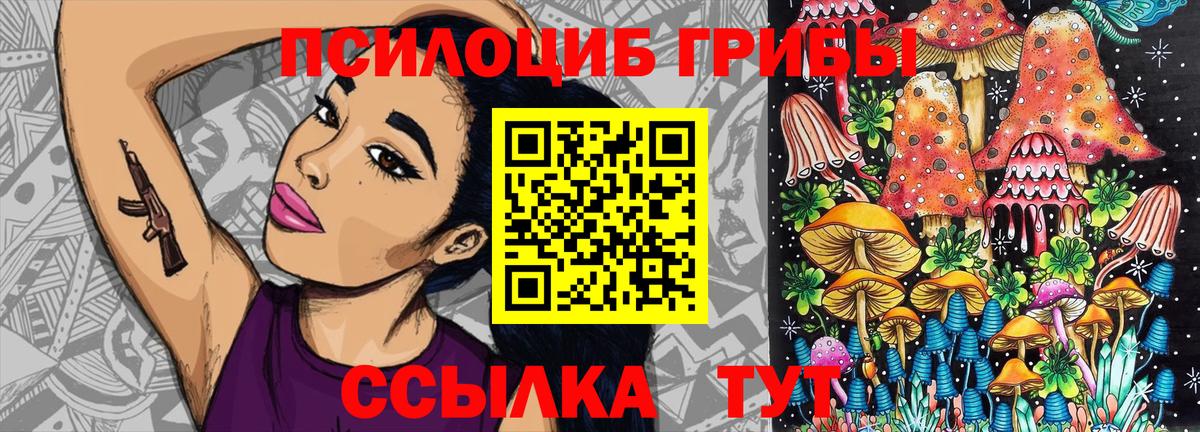 Псилоцибиновые грибы прущие грибы Элиста