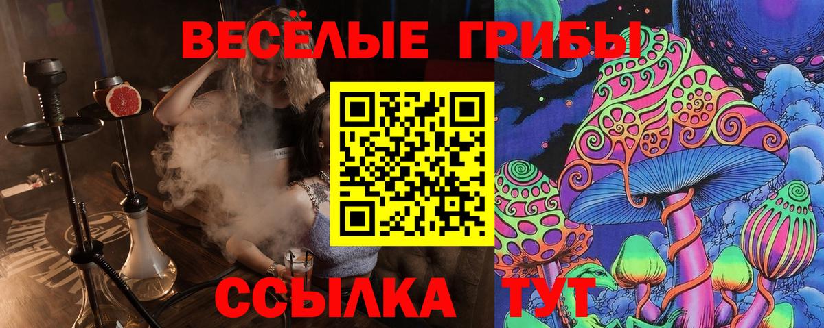 Галлюциногенные грибы Magic Shrooms  Галлюциногенные грибы MAGIC MUSHROOMS  Вход с VPN  Элиста 